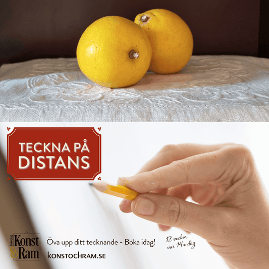 Distanskurs - utveckla dina teckningskunskaper!