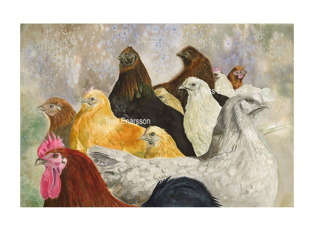 Hedemorahöns Grafiskt tryck 61x45 cm