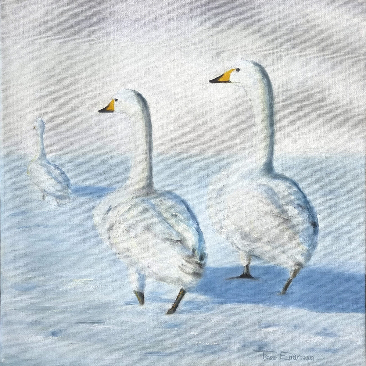 'Svanar' Original i olja | Tess Enarsson | Inramad