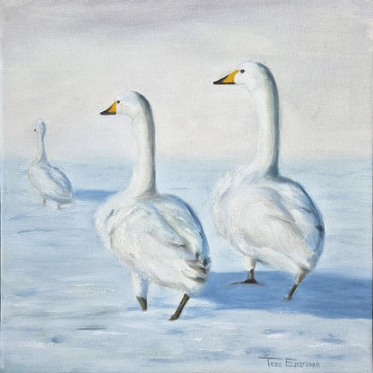 'Svanar' Original i olja | Tess Enarsson | Inramad
