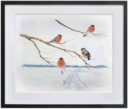 Bullfinches in winter sun 33x29 - Graphic print