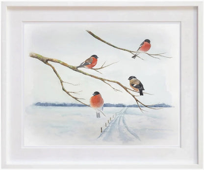 Bullfinches in winter sun 33x29 - Graphic print