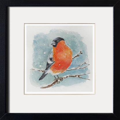 Bullfinch - Graphic print