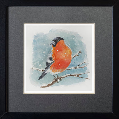 Bullfinch - Graphic print