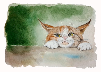 Kattsmyg - Grafiskt tryck