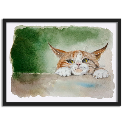 Kattsmyg - Grafiskt tryck