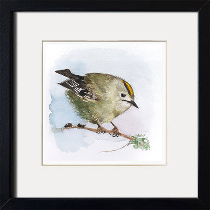 Kingbird - Graphic print