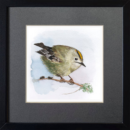 Kingbird - Graphic print