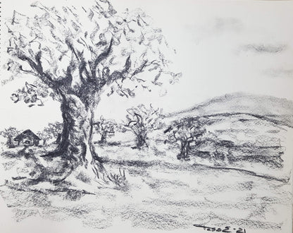 Distanskurs - utveckla dina teckningskunskaper!