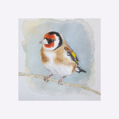 Steglitz - Grafiskt tryck