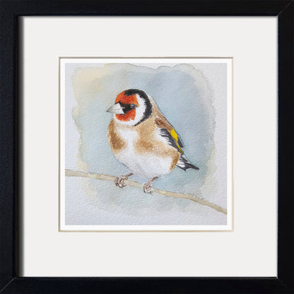 Steglitz - Grafiskt tryck