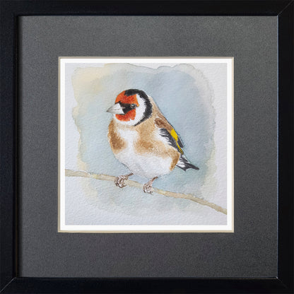 Steglitz - Grafiskt tryck