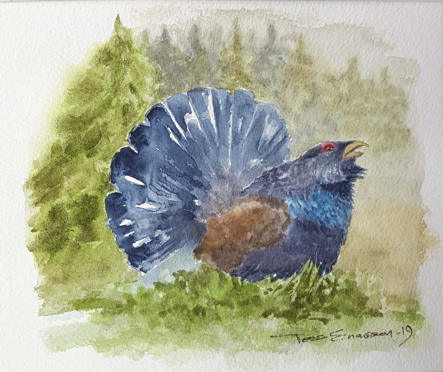 'Tjädertupp' Original i akvarell