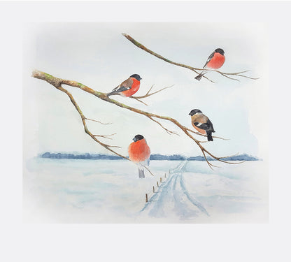 Bullfinches in winter sun 33x29 - Graphic print