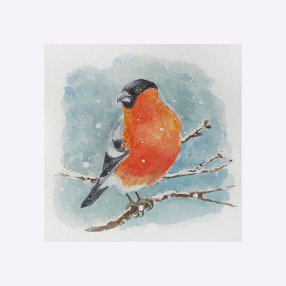 Bullfinch - Graphic print