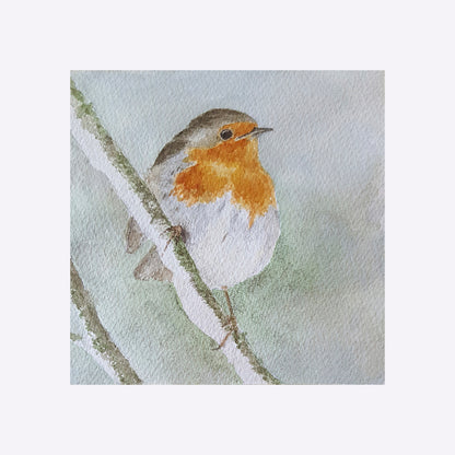 Robin - Graphic print
