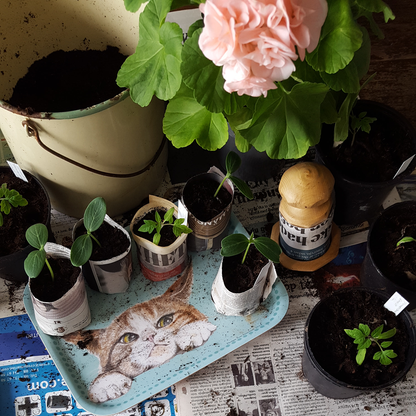 Tray Cat's Paw 27x20 cm