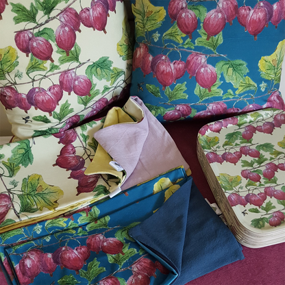 Tray Red Gooseberries 27x20 cm