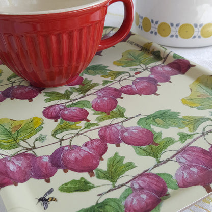 Tray Red Gooseberries 27x20 cm