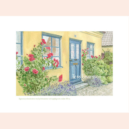 The Blue Door in Lund - Graphic printing