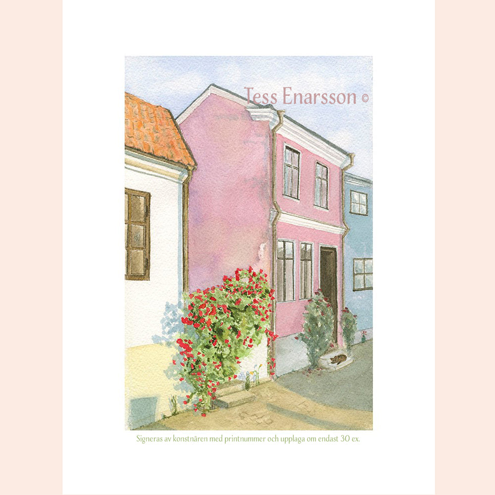 Röda rosor rosa hus - Grafiskt tryck