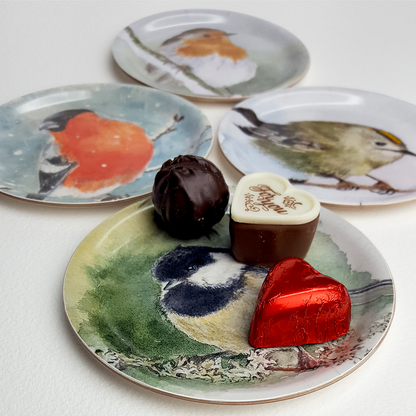 Coasters Little Birds 4-p