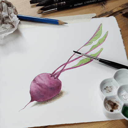 Sandwich board/Mini cut Carrots 20x15 cm